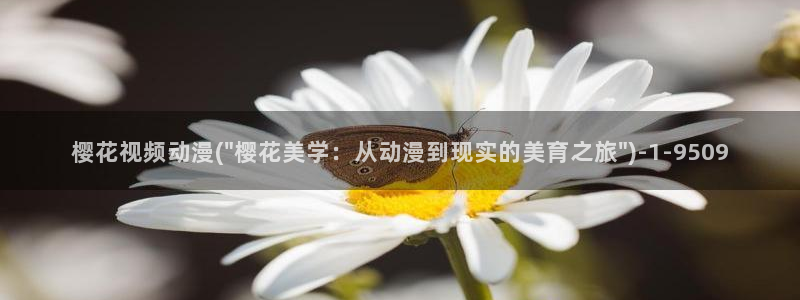 樱花动漫专注动漫的门户网站入口：樱花视频动漫(\