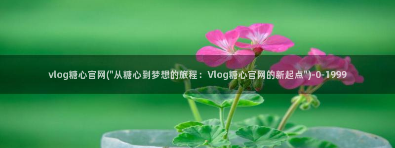 糖心短视频vlog下载：vlog糖心官网(\