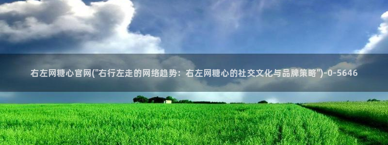 糖心vlog app下载：右左网糖心官网(\