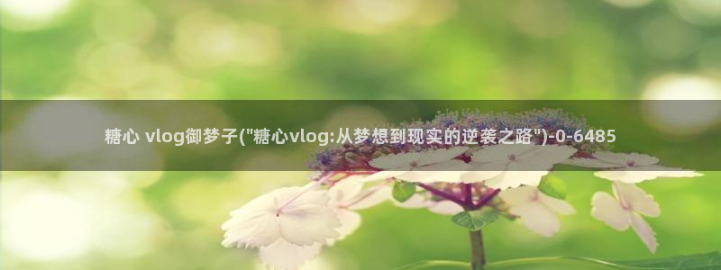 91制片厂糖心vlog玩偶：糖心 vlog御梦子(\