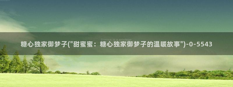 糖心vlog多乙：糖心独家御梦子(\