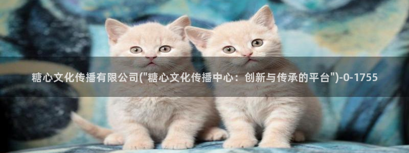 糖心vlog在线播放：糖心文化传播有限公司(\